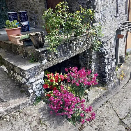 Il Nido 公寓 Groppo (La Spezia)