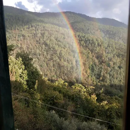 Il Nido Apartman